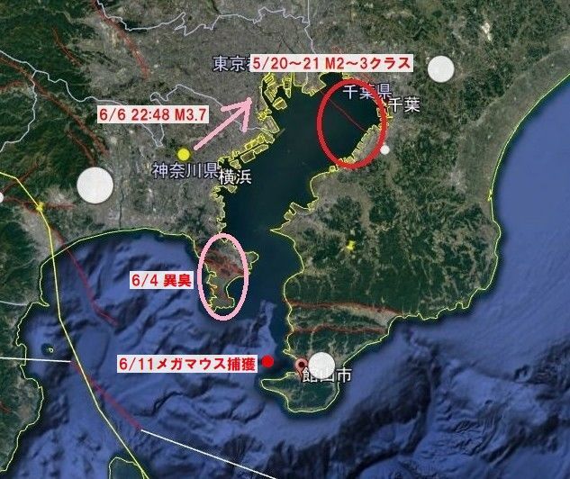 f:id:nmomose:20200611225155j:plain