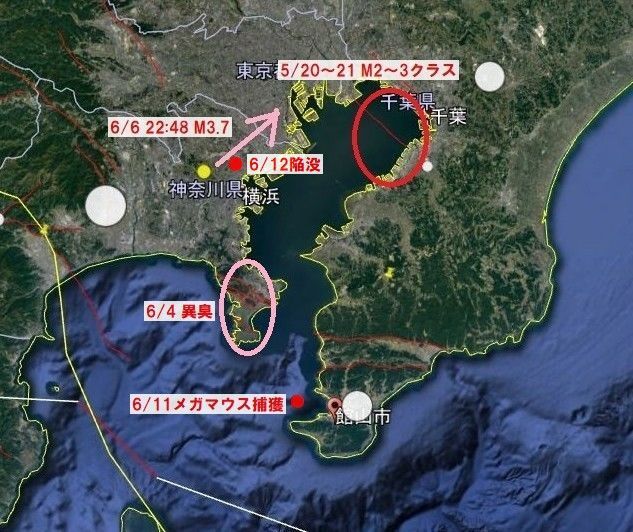 f:id:nmomose:20200613224014j:plain