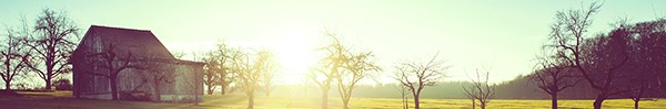 f:id:nmukkun:20210613185027j:plain
