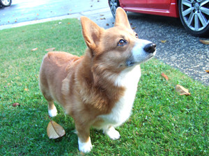 f:id:nmy:20071011003853j:image
