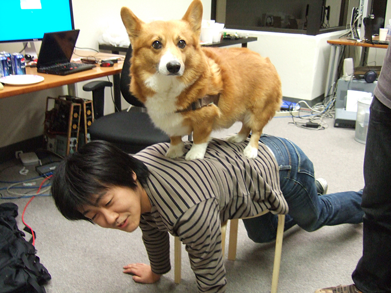 f:id:nmy:20071011133709j:image