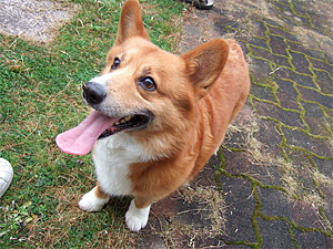 f:id:nmy:20080327150012j:image