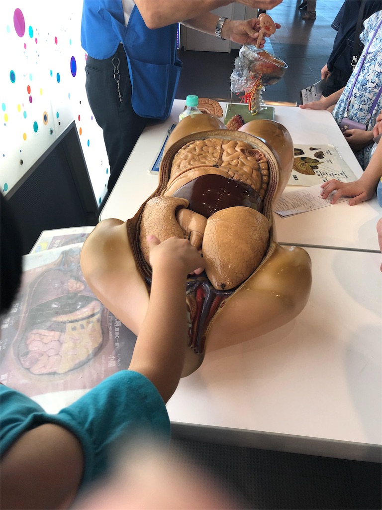 f:id:nmys:20190816115414j:image f:id:nmys:20190816115414j:image
