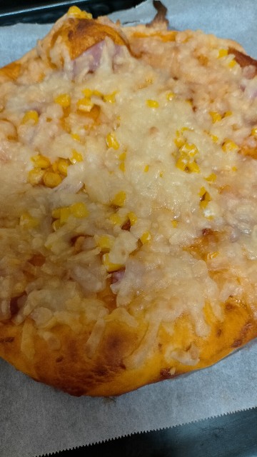 f:id:nmys:20210124101858j:image