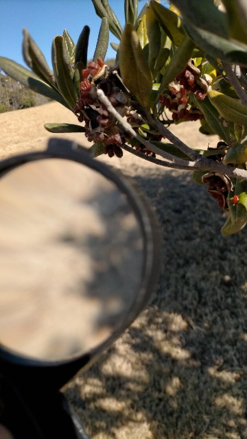 f:id:nmys:20210124232845j:image