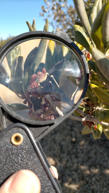 f:id:nmys:20210124233128j:image