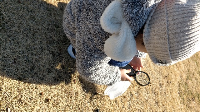 f:id:nmys:20210124233206j:image