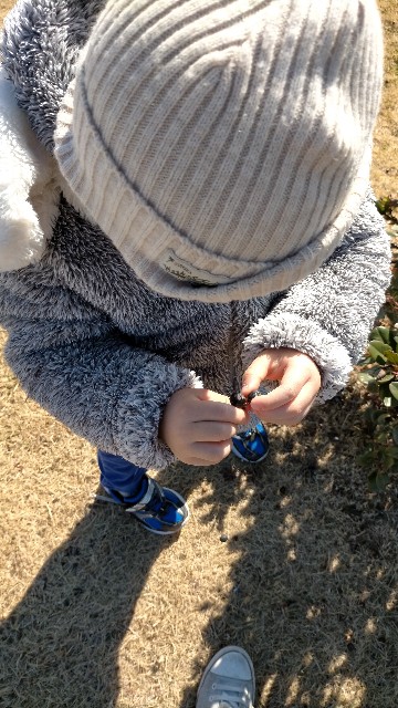 f:id:nmys:20210124233236j:image