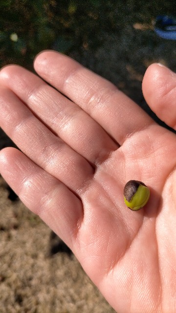 f:id:nmys:20210124233316j:image