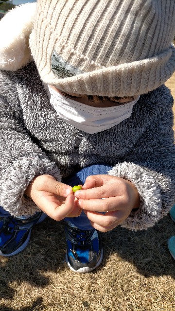 f:id:nmys:20210124233342j:image