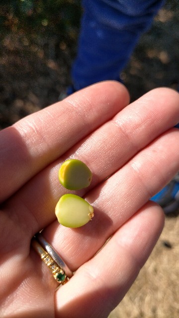 f:id:nmys:20210124233428j:image