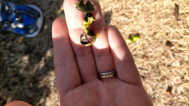 f:id:nmys:20210124233450j:image