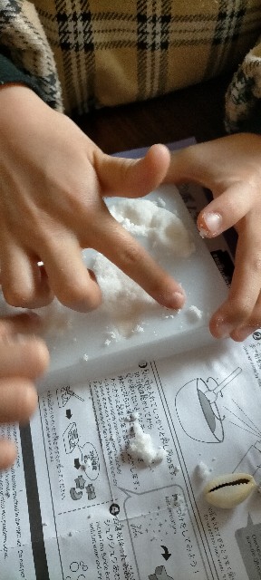 f:id:nmys:20210202233420j:image