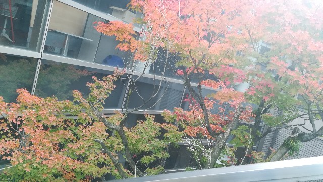 f:id:nn7049:20191204164956j:image f:id:nn7049:20191204164956j:image