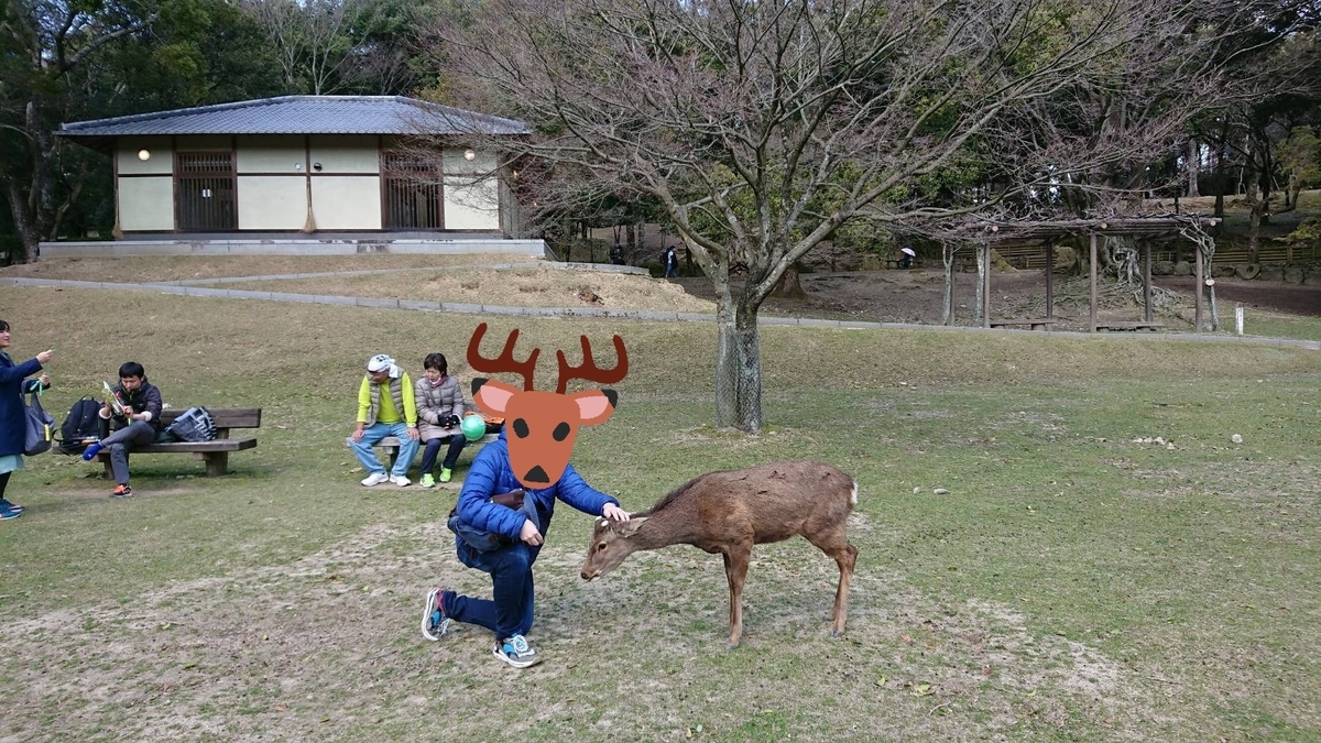 f:id:nn7049:20200330175925j:plain f:id:nn7049:20200330175925j:plain