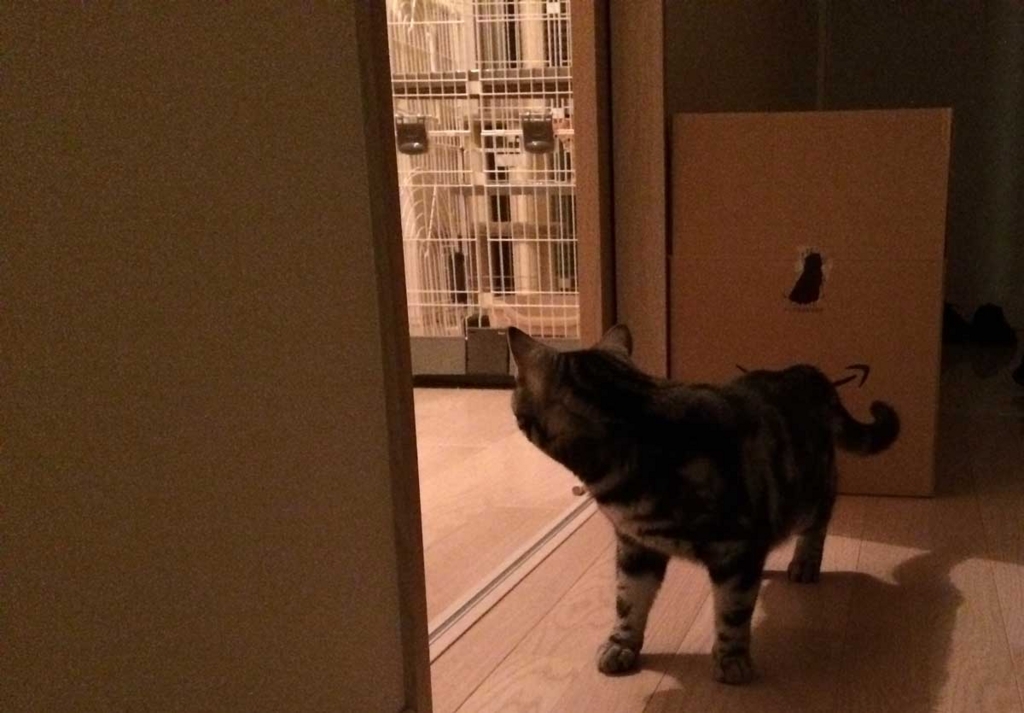 f:id:nn_hokuson:20171223102909j:plain:w550