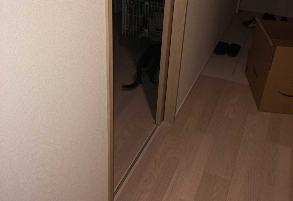 f:id:nn_hokuson:20171223104828j:plain:w550