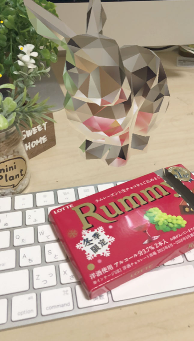 f:id:nn_hokuson:20190530215541j:plain:w170