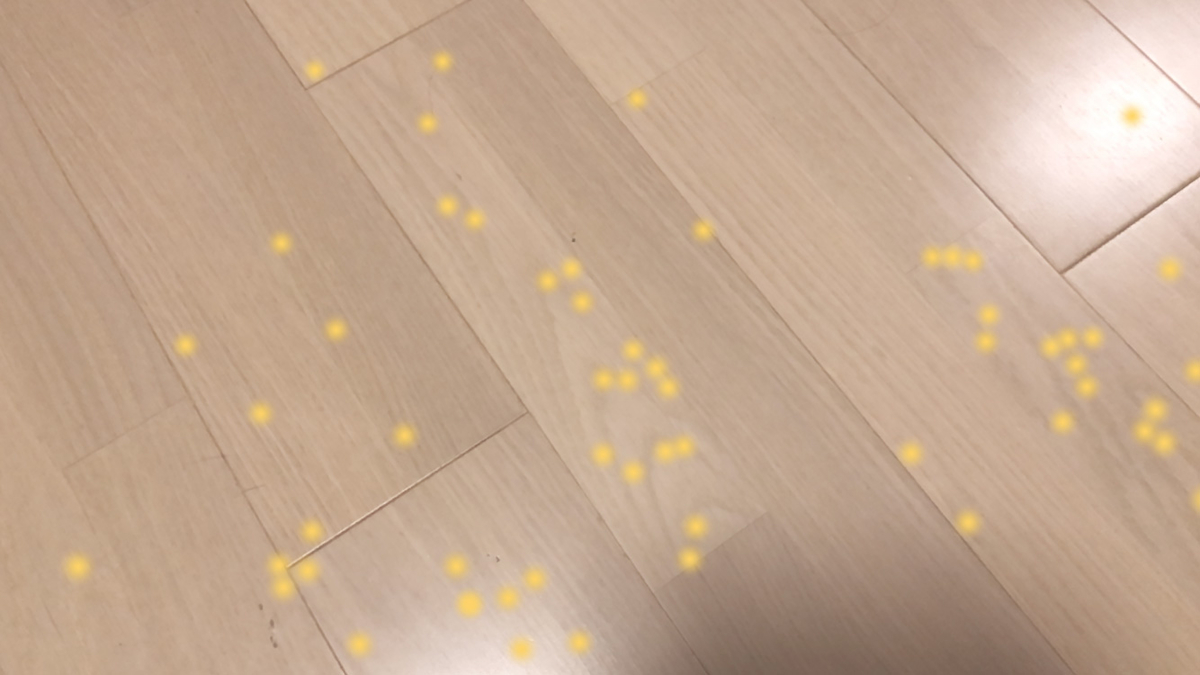 f:id:nn_hokuson:20200903204550j:plain:w450