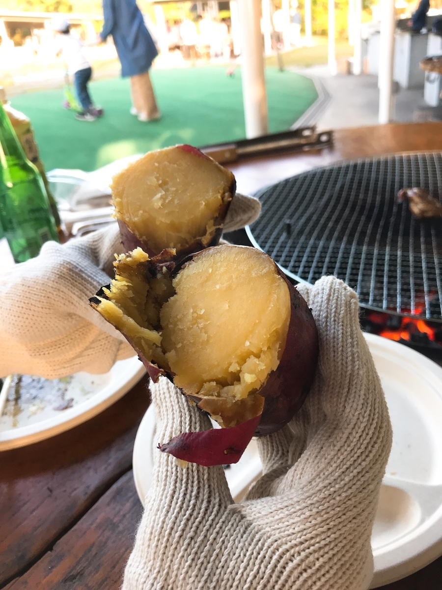 f:id:nn_n_pq:20190513125248j:plain
