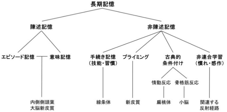 慶應通信　科目試験　過去問　2006~2019・2023年（15年分フルセット） 慶應通信 科目試験 過去問 2006~2019・2023年（15年分フルセット）