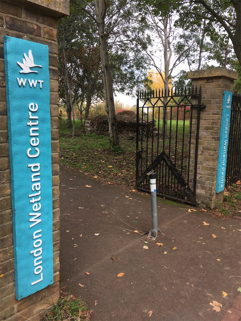 ロンドン観光 穴場 カワウソに会えるかも London Wetland Centre ロンドン湿地帯センター ロンドン リッチモンド 暮らしの備忘録