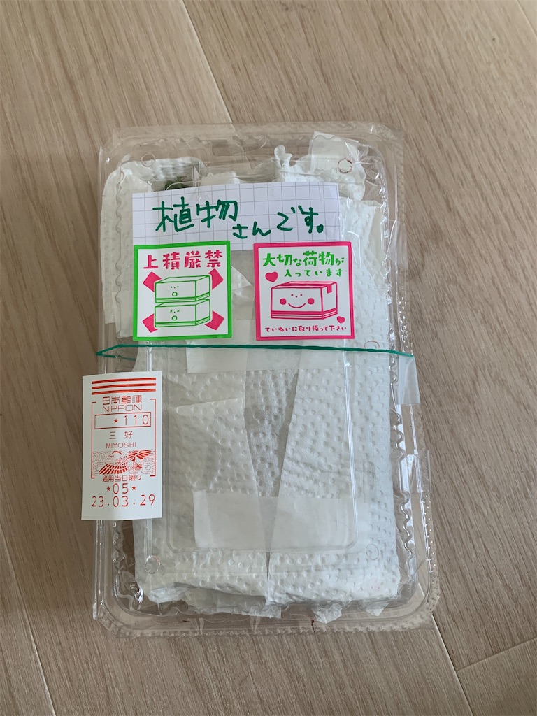 f:id:nnas:20230403152841j:image