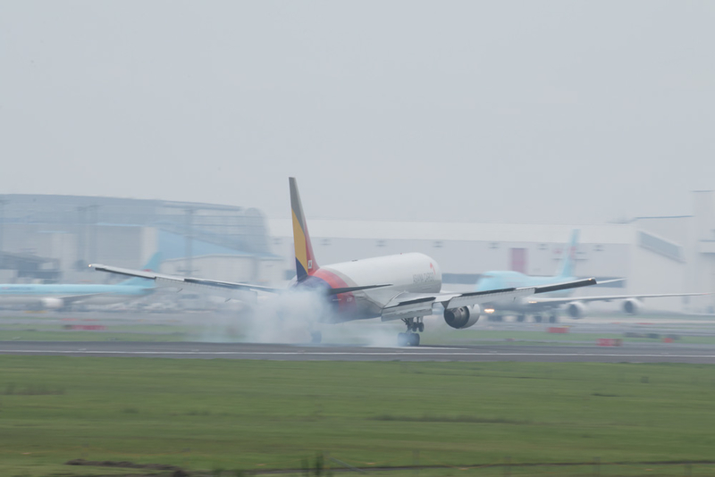 イメージ 8