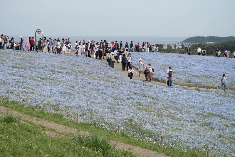 イメージ 8
