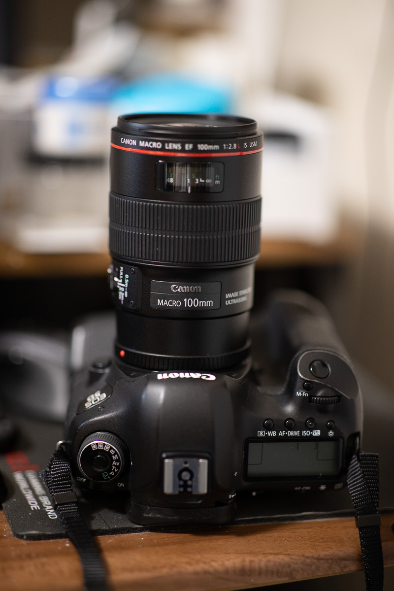 EF100mm F2.8Lマクロ IS USM：レンズ交換式カメラ・レンズ｜個人