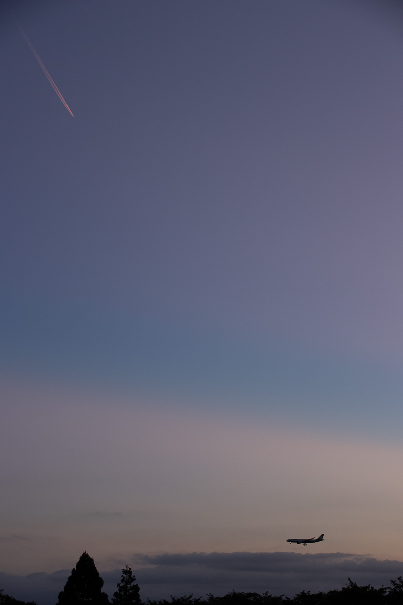 f:id:nnd_power:20210719012525j:plain