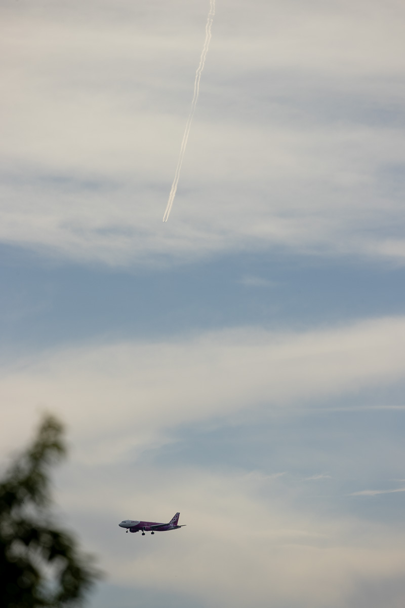 f:id:nnd_power:20210826223621j:plain