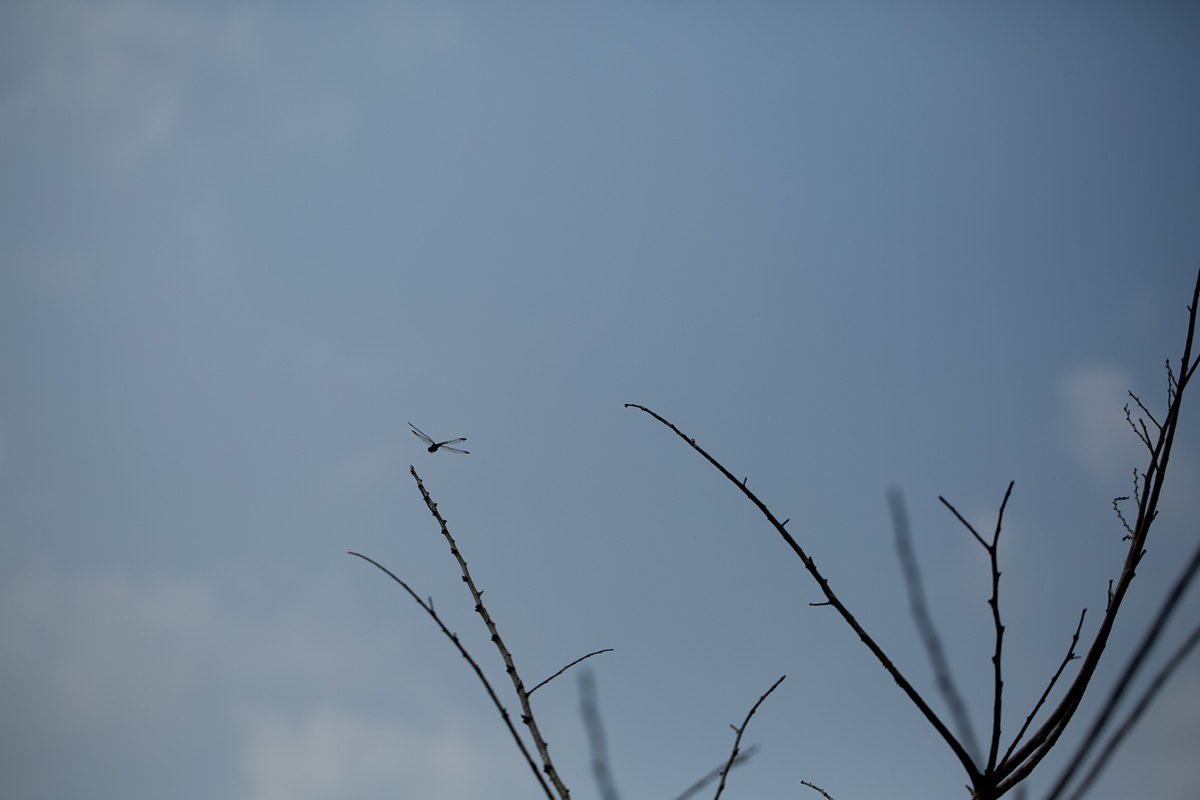 f:id:nnd_power:20210828212044j:plain