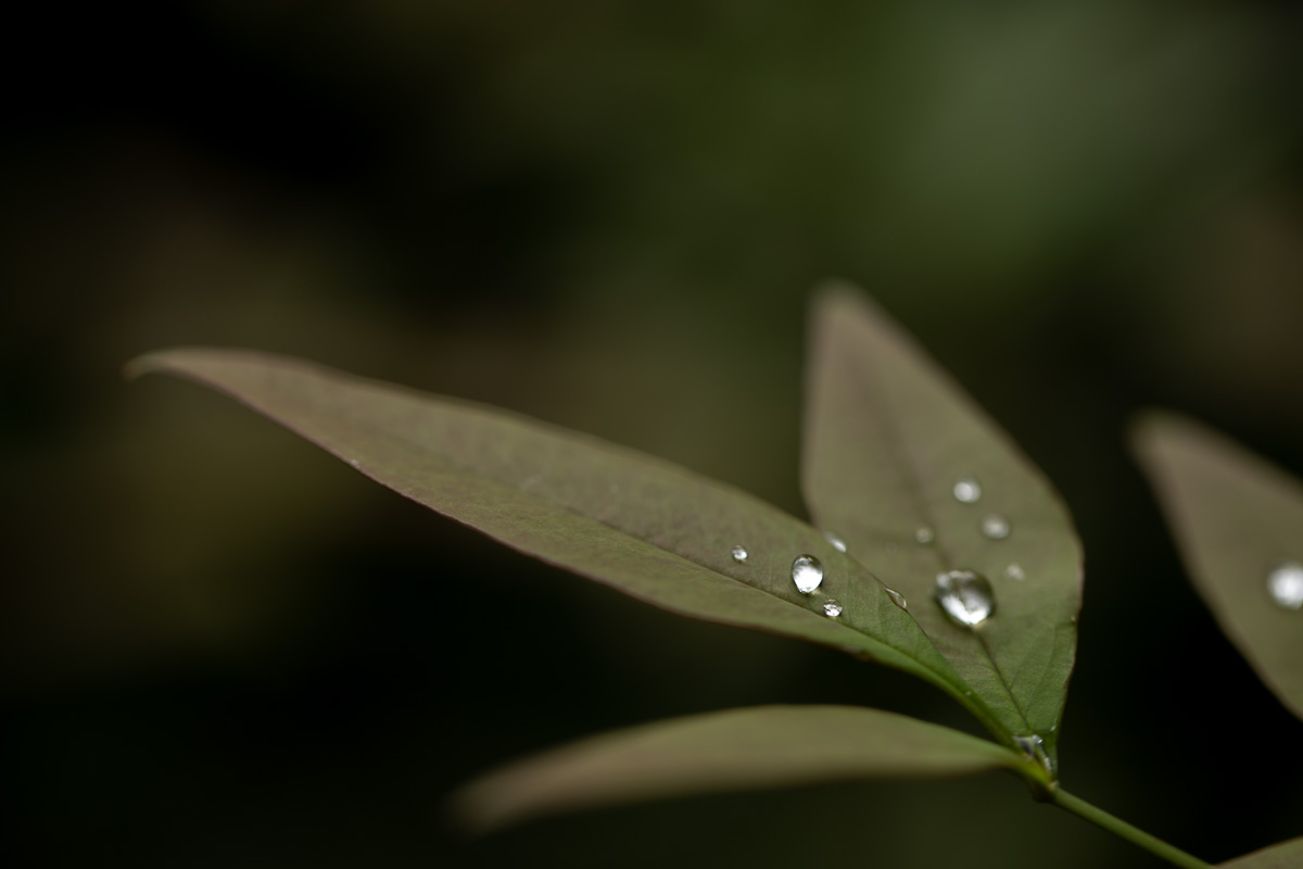 f:id:nnd_power:20210906004407j:plain