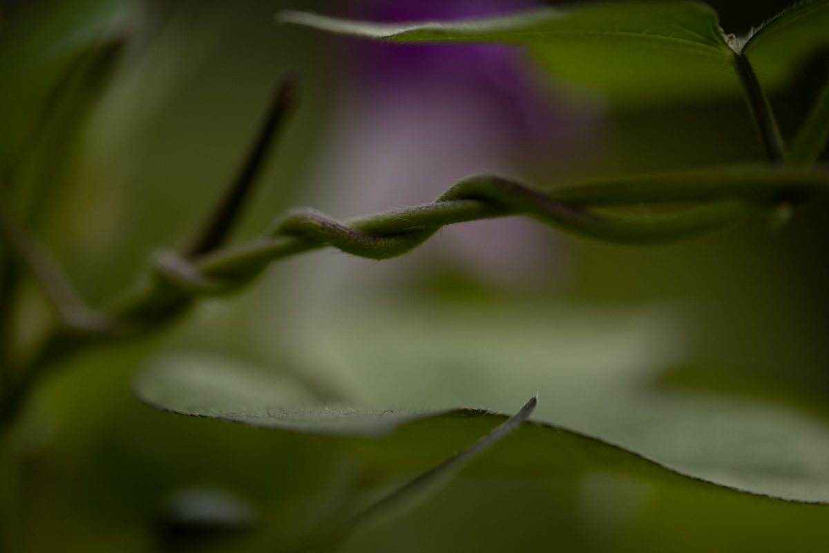 f:id:nnd_power:20210906004414j:plain