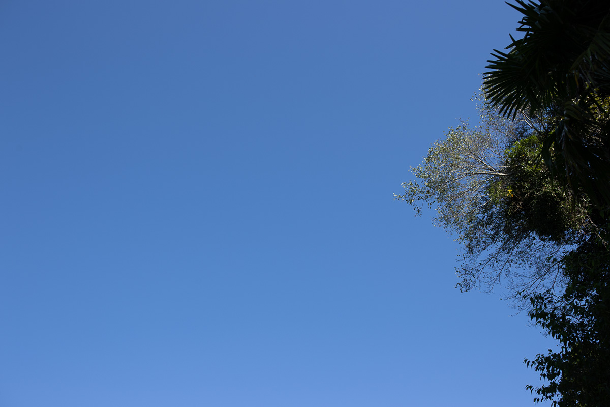 f:id:nnd_power:20211002093043j:plain