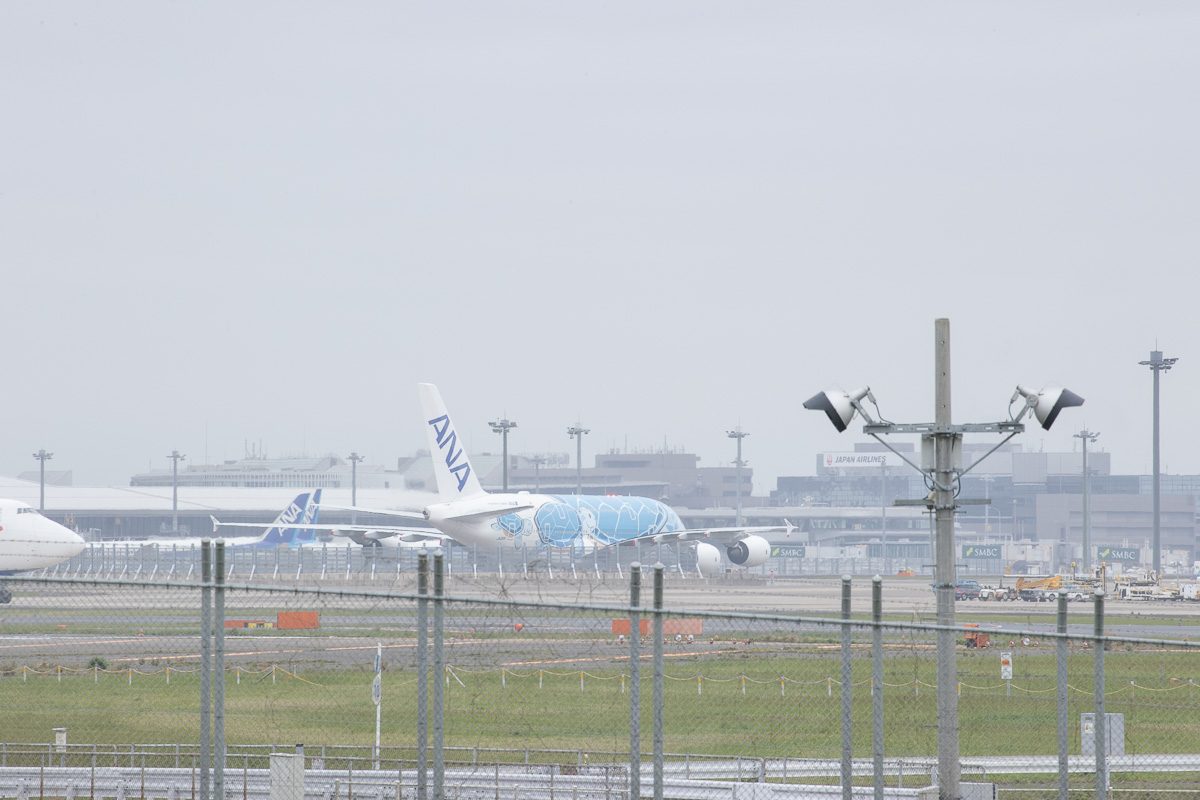 成田空港定点観測 22 04 24 昼 34l Nndのブログ