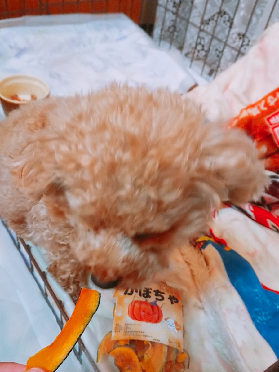 f:id:nneechan:20200318183335j:plain