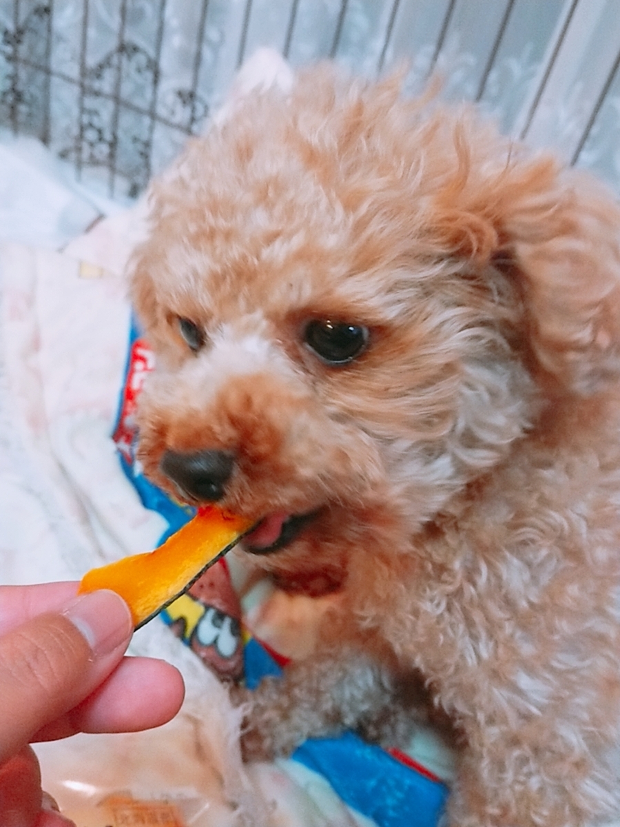 f:id:nneechan:20200318183355j:plain