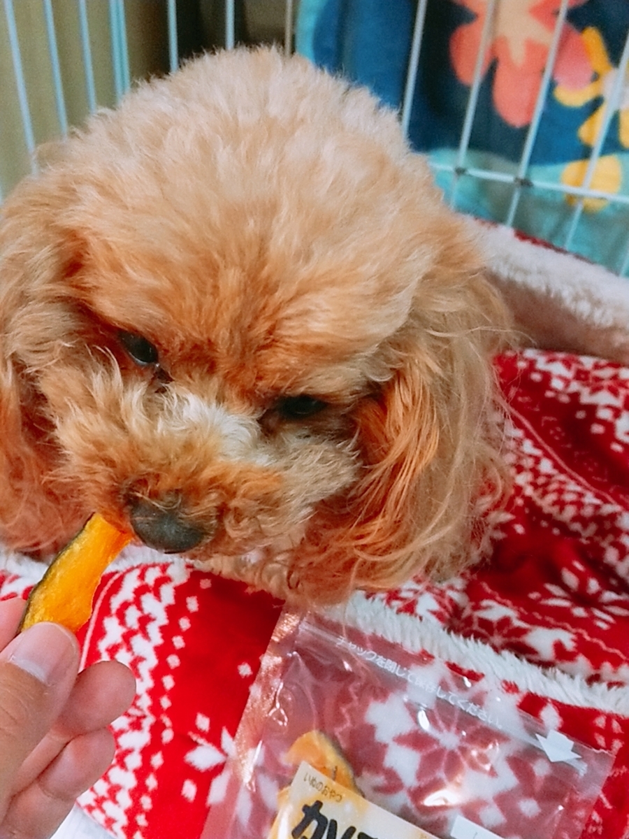 f:id:nneechan:20200318183430j:plain