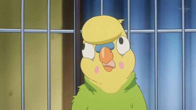 今日の妖精ｗ ささみのお昼寝日記