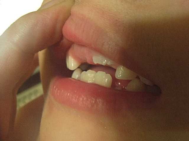 f:id:nnk775:20090302102005j:image:w160 f:id:nnk775:20090302102005j:image:w160