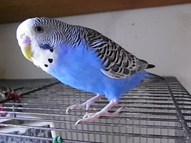 f:id:nnk775:20091223111108j:image:w160