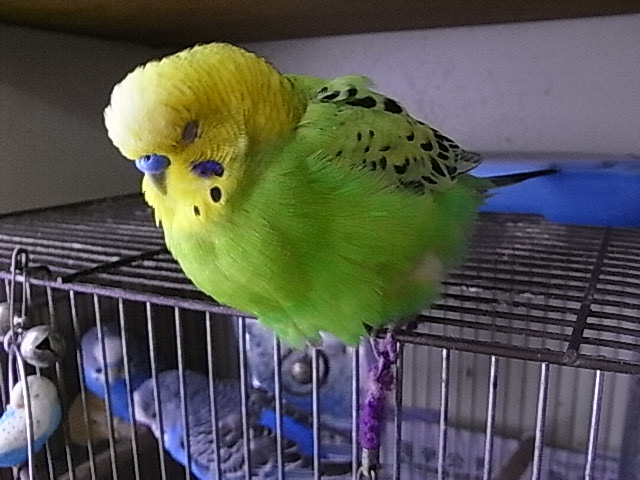 f:id:nnk775:20100829100847j:image:w160 f:id:nnk775:20100829100847j:image:w160