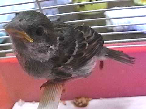 f:id:nnk775:20130519092401j:image:w160 f:id:nnk775:20130519092401j:image:w160