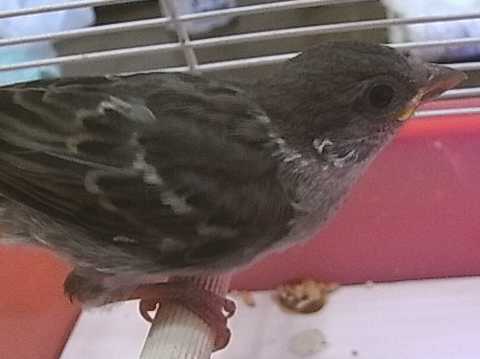 f:id:nnk775:20130519092407j:image:w160 f:id:nnk775:20130519092407j:image:w160