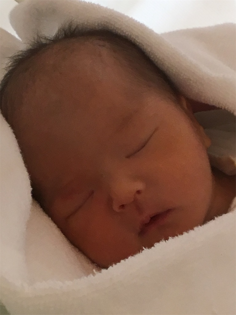 f:id:nnnaooo:20190210175838j:image