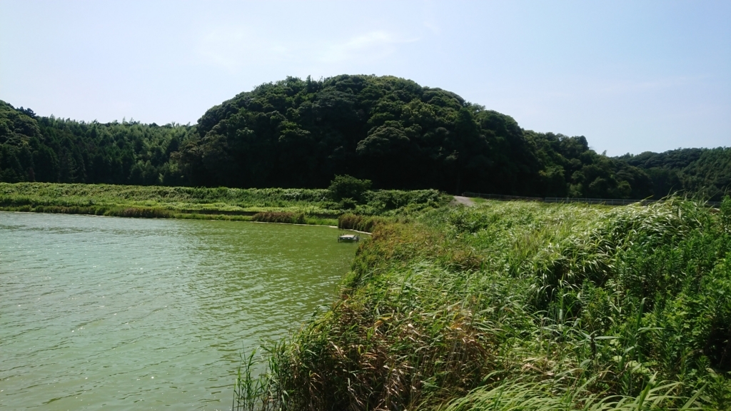 f:id:nnnnews:20180807005140j:plain