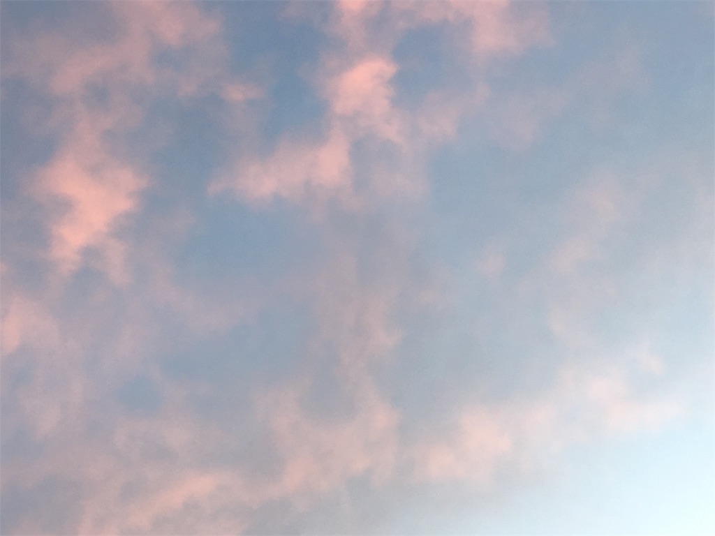 f:id:nno13:20190721232247j:image f:id:nno13:20190721232247j:image