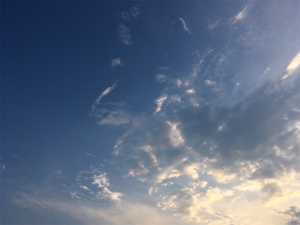 f:id:nno13:20190804012744j:image f:id:nno13:20190804012744j:image